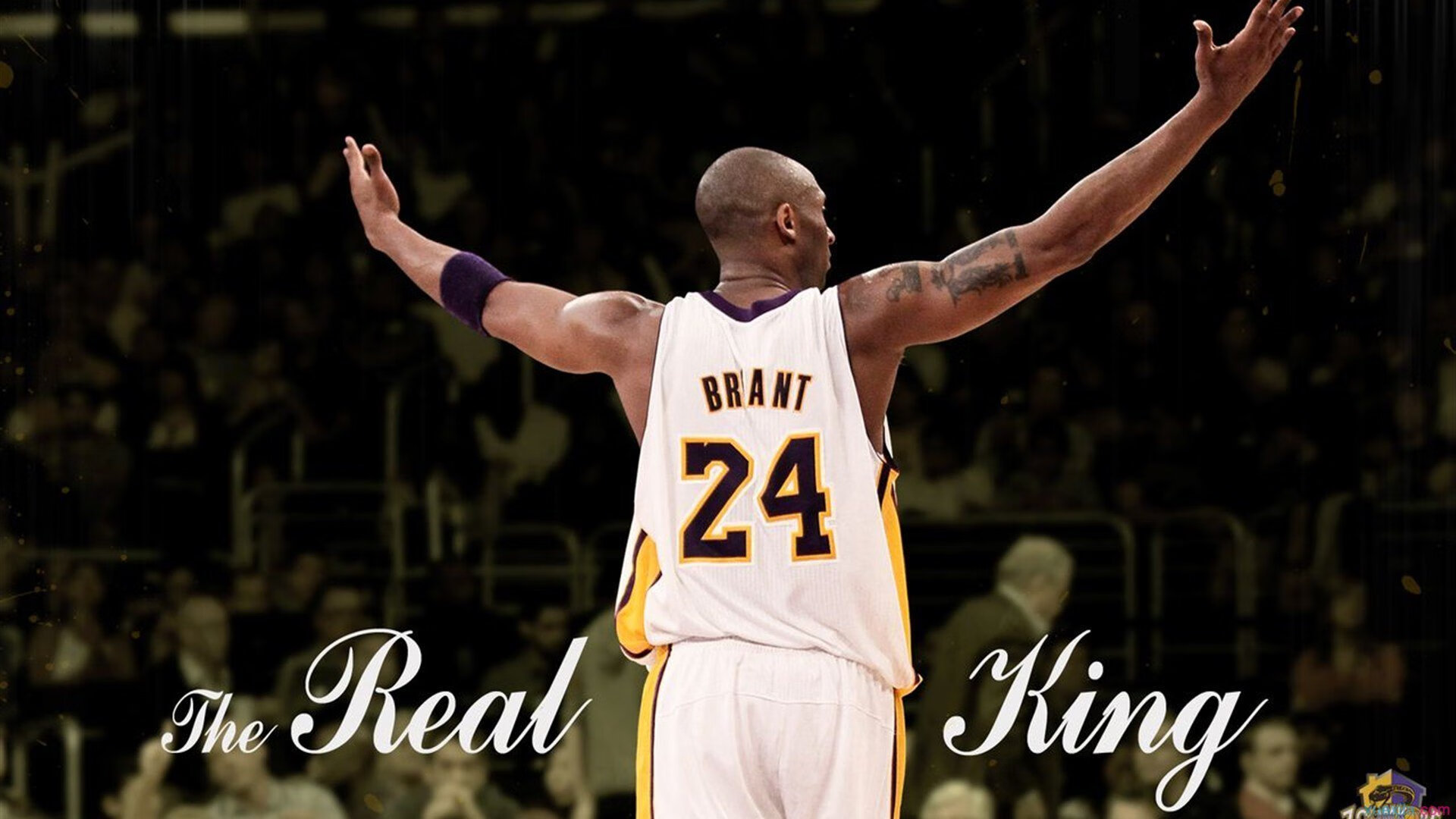 爱游戏tv-锡安绝境怒吼，深圳队生死战逆袭背后的城市精神密码